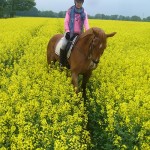 Ausreiten rund um den Waldhof